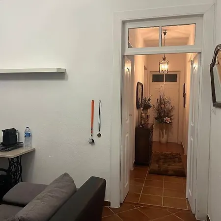 Apartment Vivenda Barros Sangalhos